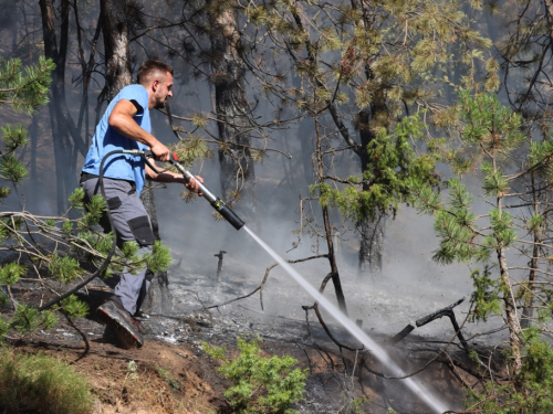 VIDEO/FOTO: Požar u Podboru - Vatrogasci nemoćni, borovina gori nekontrolirano