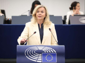 Zovko u Strasbourgu: Hrvati u BiH već četiri puta lišeni prava na legitimno predstavljanje
