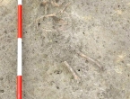 Hrvatska: Pronađeni ostatci djeteta koje je umrlo prije najmanje 6500 godina