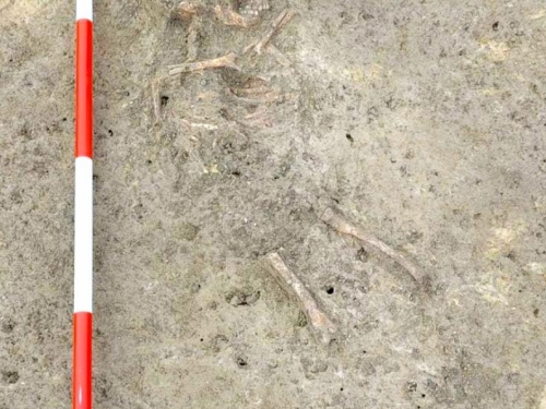 Hrvatska: Pronađeni ostatci djeteta koje je umrlo prije najmanje 6500 godina