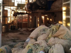 ​Proizvođači smilja iz Hercegovine pronašli su način da opstanu
