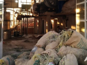 ​Proizvođači smilja iz Hercegovine pronašli su način da opstanu