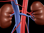 Ovih 10 simptoma skriva bolest bubrega