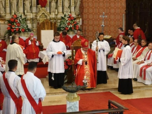 Kardinal Puljić zaredio 11 đakona za svećenike i proslavio svoju zlatnu Misu