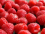 Sva ljekovita svojstva maline