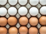 Postoji li razlika između smeđih i bijelih jaja