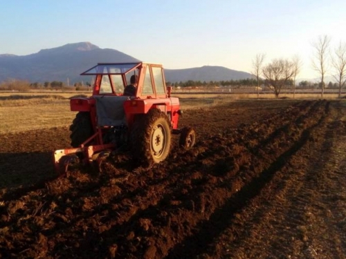 Polovica poljoprivrednih zemljišta u BiH nije iskorištena