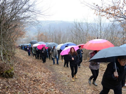 FOTO: Mons. dr. Pero Sudar predvodio misu i Križni put na Uzdolu