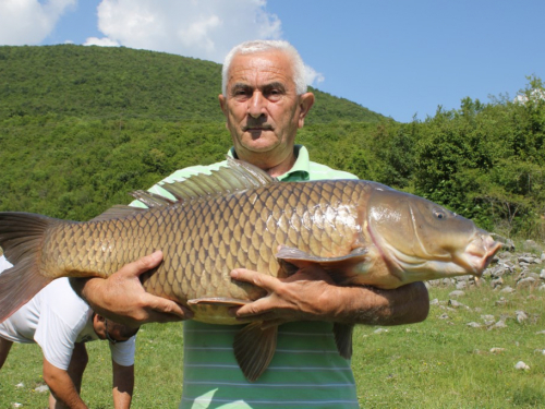 FOTO/VIDEO: U Ramskom jezeru uhvaćen šaran kapitalac od 28,4 kg