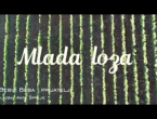 VIDEO: Zoran Bebić Beba i prijatelji – Mlada loza