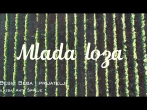 VIDEO: Zoran Bebić Beba i prijatelji – Mlada loza