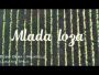 VIDEO: Zoran Bebić Beba i prijatelji – Mlada loza