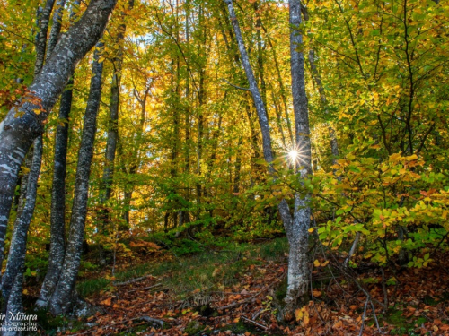 FOTO: Rama u bojama jeseni