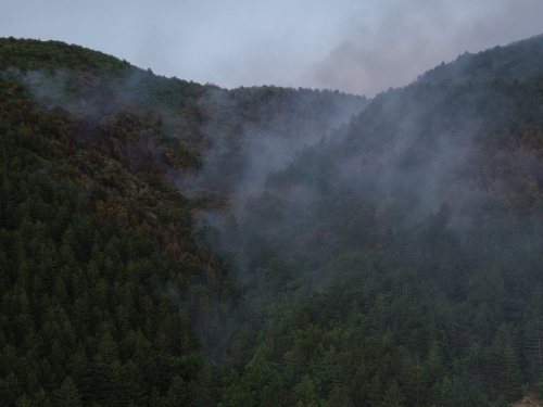 FOTO/VIDEO: Lokaliziran požar u Rami