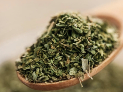 Biljka koja uništava parazite, infekcije mokraćnog sustava i mjehura, herpes i viruse gripe