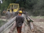 ''Hercegbosanske šume'': Sud zabranio aktivnosti i natječaje