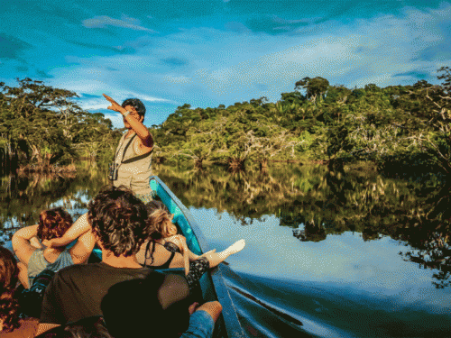 Amazonija: Više od 10.000 vrsta biljaka i životinja prijeti izumiranje