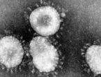 Tri istraživačka tima pokušat će razviti cjepivo protiv koronavirusa
