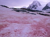 Pijesak iz Sahare stigao u Europu, brojna skijališta poprimila crvenu boju