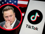 Musk: Ne želim preuzeti TikTok