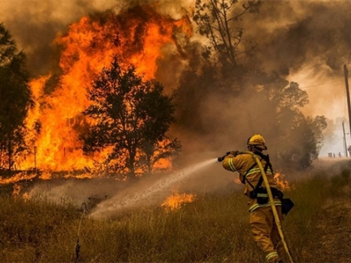 Ogromni požari u Kaliforniji, agresivna vatra guta zapad SAD-a