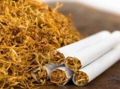 Ilegalna potrošnja duhanskih proizvoda u BiH 35%, država time gubi skoro pola milijarde maraka