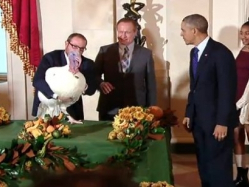 Obama pomilovao purice uoči Dana zahvalnosti