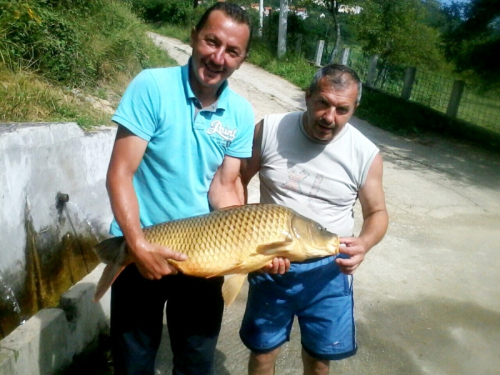 Zdenko iz Kiseljaka ulovio šarana od 11,5 kg