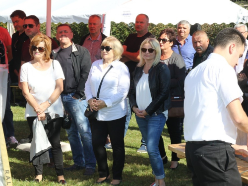 FOTO/VIDEO: U Rumbocima svečano otvorena solarna elektrana Poljane