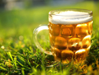 Je li alkohol dobar za biljke? Evo što pivo, kava i ljuske jaja stvarno rade biljkama!