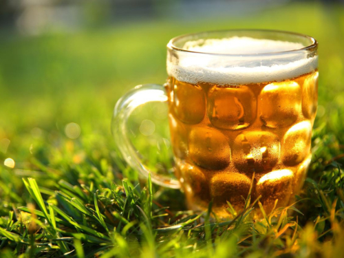 Je li alkohol dobar za biljke? Evo što pivo, kava i ljuske jaja stvarno rade biljkama!