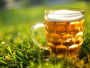Je li alkohol dobar za biljke? Evo što pivo, kava i ljuske jaja stvarno rade biljkama!