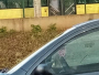 Mostar: Vozač urinirao u gradskom autobusu