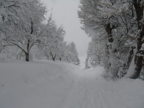 FOTO: Visina snijega na Orašcu 76 cm