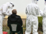 Hrvatska: U protekla 24 sata 2613 novozaraženih