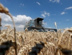 Izvoz ukrajinskih žitarica put je ka primirju?