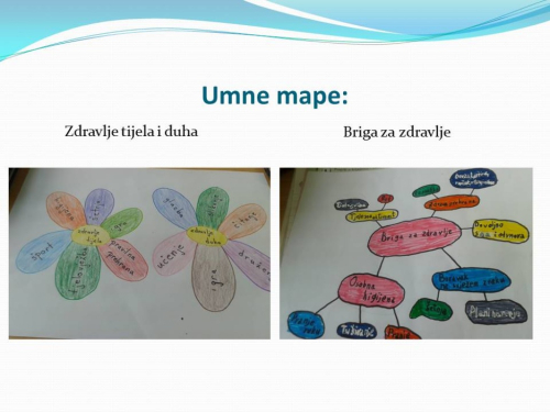 Projektna nastava: Briga o zdravlju školske djece