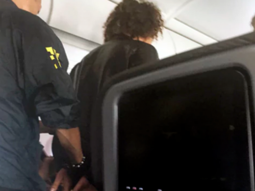Turčin uhićen nakon što je pokušao ući u pilotsku kabinu American Airlinesa