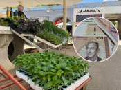 Trgovina na bh. tržnici nudi plaću od 1700 KM za 8 sati rada, ali radnika - nema