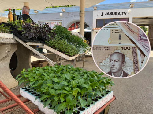 Trgovina na bh. tržnici nudi plaću od 1700 KM za 8 sati rada, ali radnika - nema