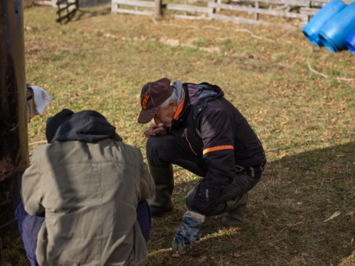 FOTO: Sezona je pečenja rakije na Orašcu – ''Veseli stroj'' radi punom parom