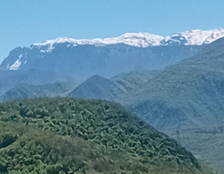 Čudesno