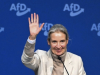 AfD prvi put uvjerljivo vodi u Njemačkoj