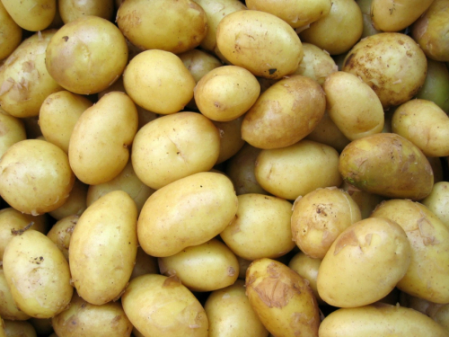 Zašto krumpir pozeleni i smijete li ga tada jesti?