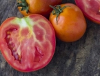3 razloga zašto je središte paradajza bijelo, tvrdo i neukusno
