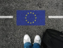 U 2018. godini čak 53.520 državljana BiH dobilo boravišnu dozvolu u EU