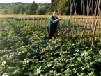 Bugojanka se nakon teškog perioda okrenula poljoprivredi: Treba biti optimist