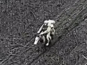 Ruski vojnici na konjima jurišali na Ukrajince