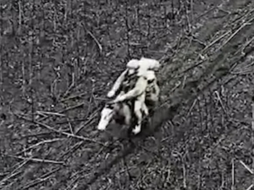 Ruski vojnici na konjima jurišali na Ukrajince