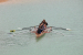 FOTO: Na Ramskom jezeru održana 10. veslačka regata